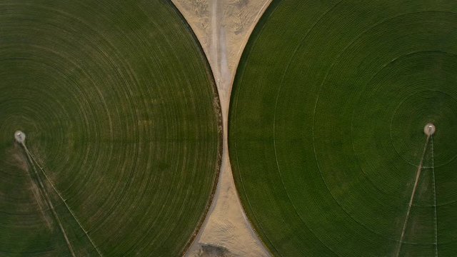 Aerial view of a car driving in between two agricultural circles in the middle of the Saih Al Salam Desert in Dubai, U.A.E.