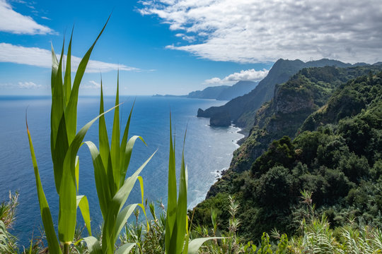 Madeira Island north coast - Santana Village