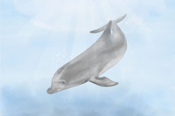 Fototapeta premium Happy Delphine in the ocean 