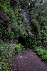 Caldeirão do Inferno Hiking - Madeira Island