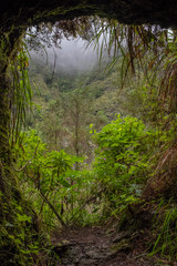 Caldeirão do Inferno Hiking - Madeira Island