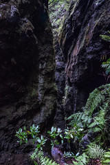 Caldeirão do Inferno Hiking - Madeira Island