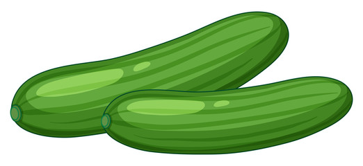 Cucumber on white background