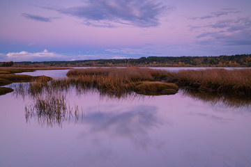 Lynch Cove Wetlands Washington State