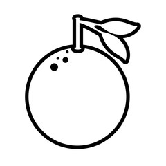 fresh orange fruit isolated icon