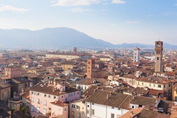 Fototapeta na wymiar Lucca view from Guinigi Tower.