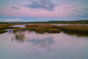 Lynch Cove Wetlands Washington State