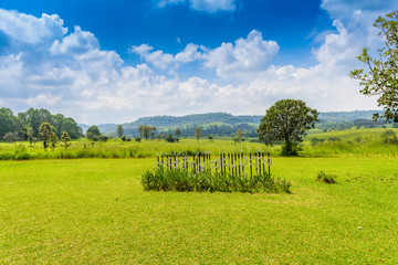 Fototapeta na wymiar landscape of Savanna Forest and mountain with a blue sky and white clouds in the spring afternoon