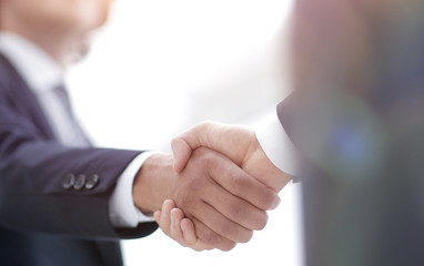 Two businessman shaking hands greeting each other