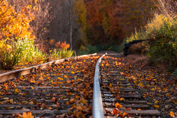 Colorful autumn landscape Beautiful autumn forest train tracks