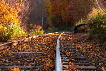 Fotobehang Chocoladebruin Colorful autumn landscape Beautiful autumn forest train tracks  © rohane