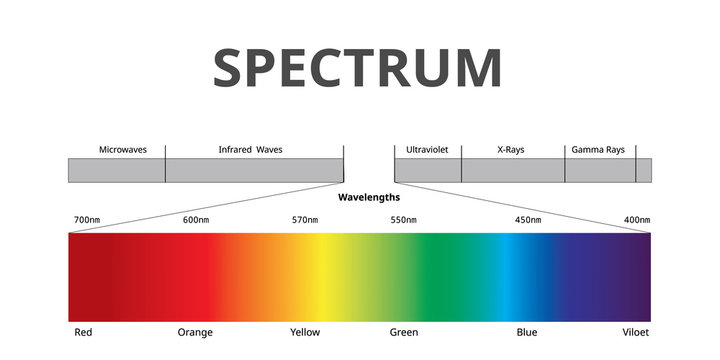 Visible Spectrum color, Electromagnetic Spectrum that Visible to the human eye, Sunlight color, Vector