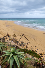 Porto Santo sand beach - Portugal