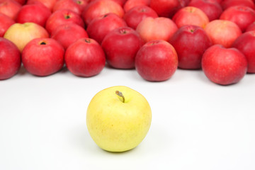 Yellow Apple on a background of red apples on white background