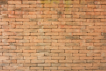 wall texture old brick