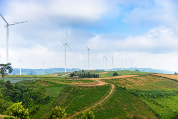 Fototapeta na wymiar Windmill turbine field for electric production at Khao Kho, Petchabun, Thailand