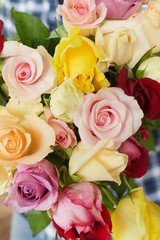 close up of colorful rose for background 