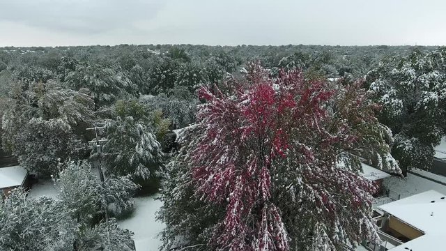 Aerial view hovering red fall snow tree cloudy