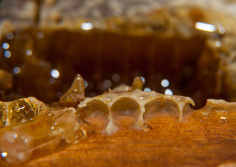yellow sweet honey in honeycombs bee