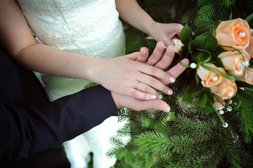 Hands of the bride and groom with wedding rings on the background of fir branches and a wedding bouquet of roses.
