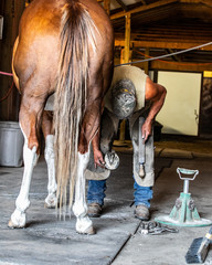 farrier