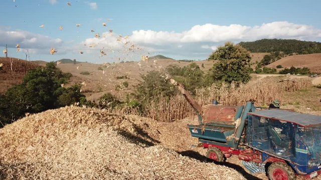 4K footage on transport of Traditional Combine Operator Harvesting Corn on the Field in Summer Evening at North of Thailand