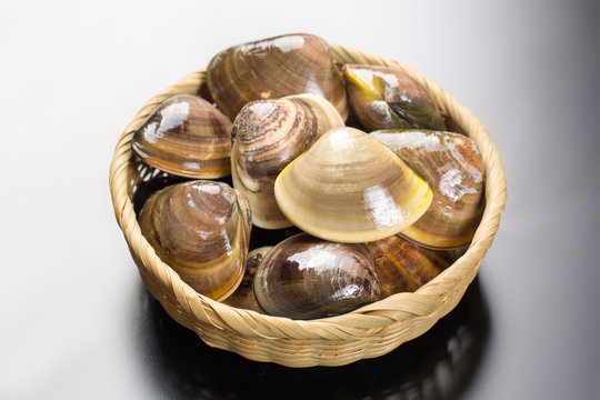 籠に入ったハマグリ