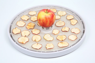 Dried Apple slices on trays of special electric fruit dryer