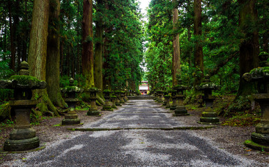Fujiyoshida Sengen Shrine, a long approach lined by stone lanterns and tall cedar trees, Japan - Sep 2018