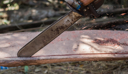 Worker use a chain saw cut the wooden and flies a lot of sawdust.