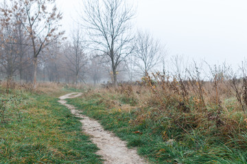 Path leading into thick fog. Autumn mood