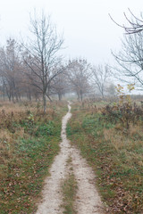 Path leading into thick fog. Autumn mood