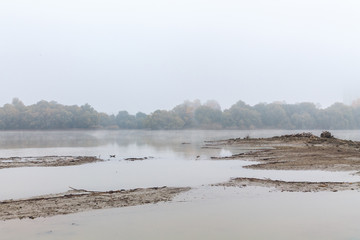 Thick fog on the bank of the river next to the forest