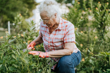Senior woman tending to her garden - Powered by Adobe