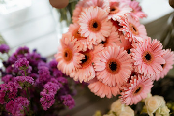 Closeup of pink gerber daisy bouquet and purple statice