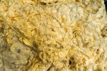 Soft raw threads extracted from the cocoon of the silkworm in processing