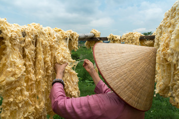 Raw of threads extracted from the cocoon of the silkworm drying outdoor, with Vietnamese woman...
