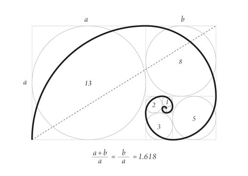 Golden section vector