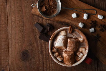 Overhead shot of a large mug of hot chocolate with marshmallows