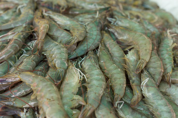 Closeup Group of Fresh Shrimp in market. Seafood concept.