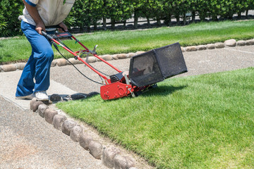 Fototapeta na wymiar Man cutting grass with the electric lawn mower
