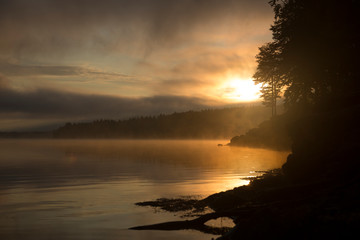 Obraz premium Morning view on foggy Shaori Lake at sunrise Georgia country