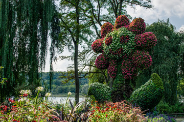 Flowers in Mainau island