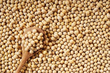 soybeans background
