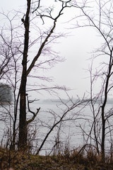View of a lake surrounded by trees, winter dark and cold afternoon.