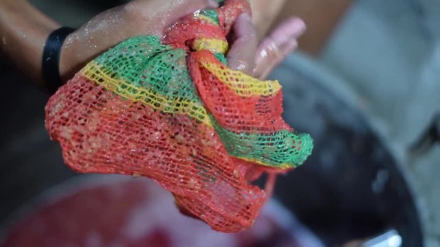 Bignay, Antidesma bunius traditional crude primitive method of home wine processing squeezing fruit with net