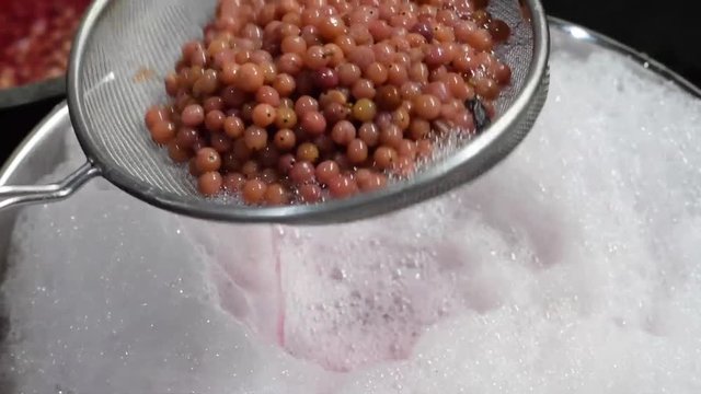 Bignay, Antidesma bunius traditional crude primitive method of home wine processing juice being strained with sieve separating fruit