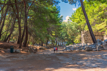 walls and stones, the ruins of the historic city of Phaselis among green relict pines, founded in the 6th century BC