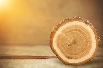 Wooden log isolated on white background