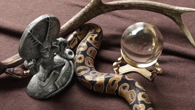 snake around magical items